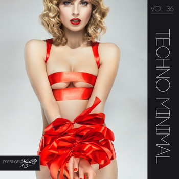 Various Artists - Techno Minimal Vol 36