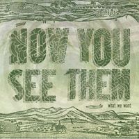 Now You See Them - What We Want