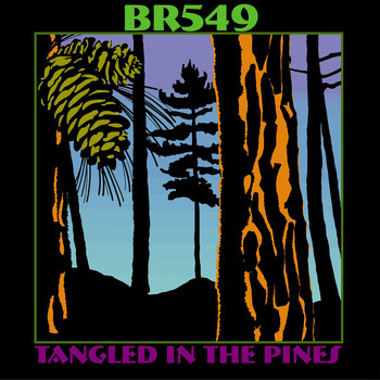 BR549 - Tangled in the Pines