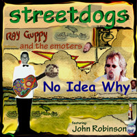 John Robinson - No Idea Why (feat. John Robinson & Ray Guppy and the Emoters)