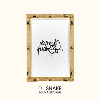 DJ Snake / AlunaGeorge - You Know You Like It