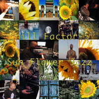 Chill Factor 5 - Sun Flower Jazz