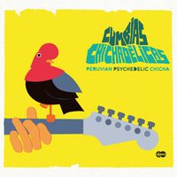Various Artists - Cumbias Chichadelicas: Peruvian Psychedelic Chicha