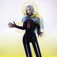 Björk - Vulnicura (Explicit)