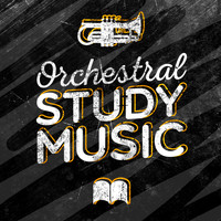 Classical Music Radio - Orchestral Study Music