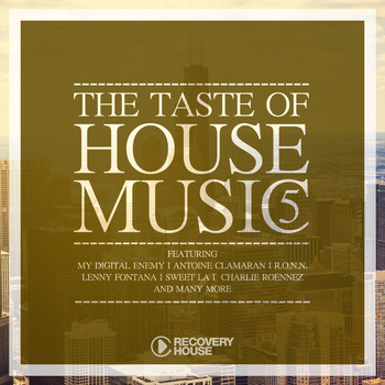 Various Artists - The Taste of House Music, Vol. 5