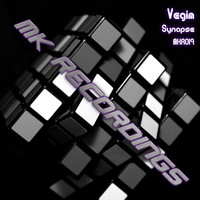 Vegim - Synapse