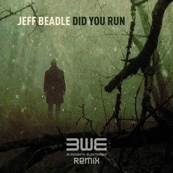 Jeff Beadle - Did You Run?