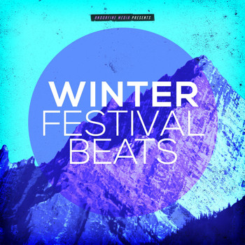 Various Artists - Winter Festival Beats