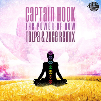 Captain Hook - The Power of Now Remix