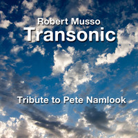 Transonic - A Tribute to Pete Namlook (Live)