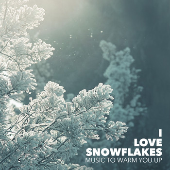 Various Artists - I Love Snowflakes