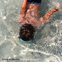 Snow In Mexico - Prodigal Summer
