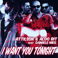 Attilson, Aldo Bit - I Want You Tonight
