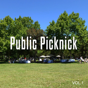 Various Artists - Public Picknick, Vol. 1