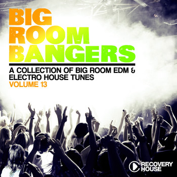 Various Artists - Big Room Bangers, Vol. 13