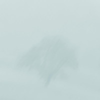 Triac - Days