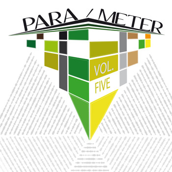 Various Artists - Para / Meter, Vol. 4 (Explicit)