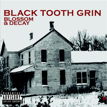 Black Tooth Grin - Blossom & Decay