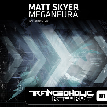 Matt Skyer - Meganeura