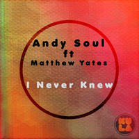 Andy Soul - I Never Knew