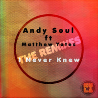 Andy Soul - I Never Knew (The Remixes)