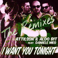 Attilson, Aldo Bit - I Want You Tonight (The Remixes)