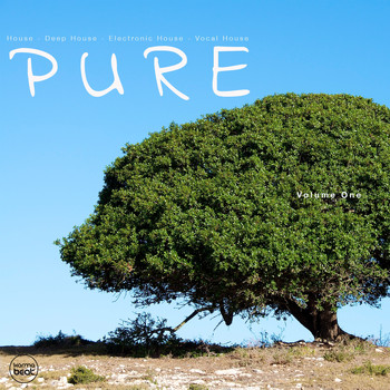 Various Artists - Pure, Vol. 1
