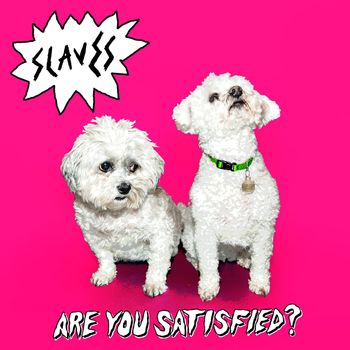 Slaves - Are You Satisfied? (Explicit)
