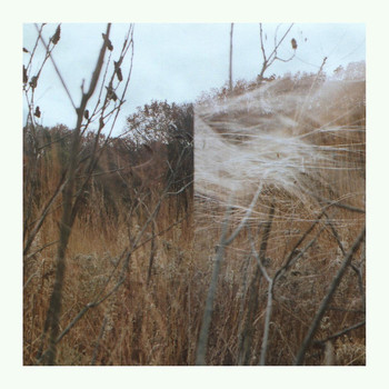 Benoit Pioulard - Plays Thelma