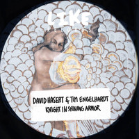 David Hasert & Tim Engelhardt - Knight in Shining Armor