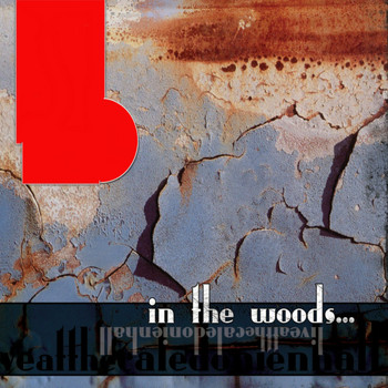 In The Woods... - Live at the Caledonien Hall