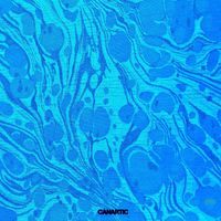 Canartic - Turn On the Blacklight