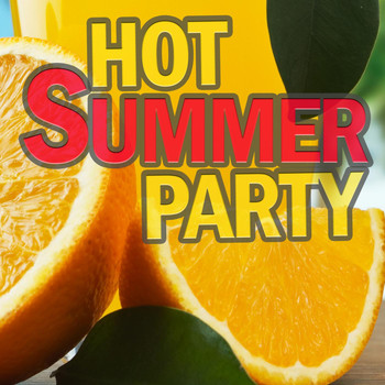 Various Artists - Hot Summer Party