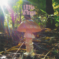 Little Wings - Last