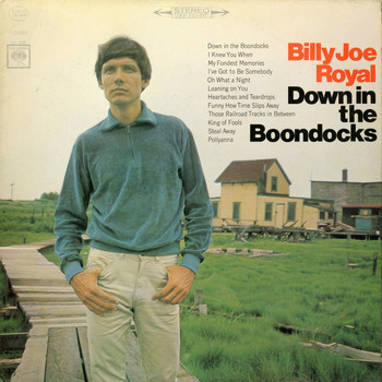 Billy Joe Royal - Down in the Boondocks