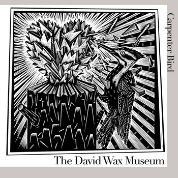 The David Wax Museum - Carpenter Bird
