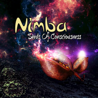 Nimba - Seeds of Consciousness