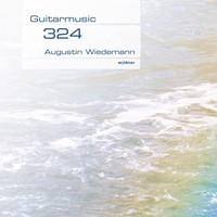 Augustin Wiedemann - 324