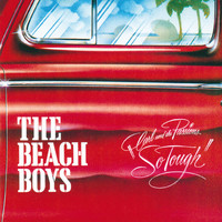 The Beach Boys - Carl & The Passions - So Tough