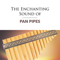 Pan Pipes - The Enchanting Sound of
