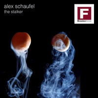 Alex Schaufel - The Stalker