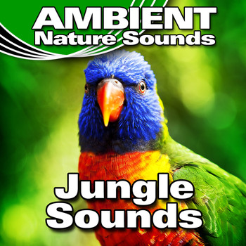 Ambient Nature Sounds - Jungle Sounds