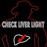 Jamie Bergeron & The Kickin' Cajuns - Check Liver Light