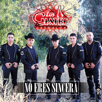 Los Cuates de Sinaloa - No Eres Sincera