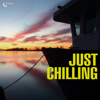 Various Artists - Just Chilling