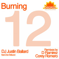 DJ Justin Ballard - Burning