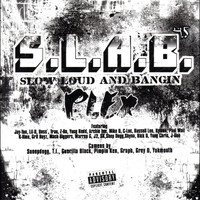 S.L.A.B. - Plex, Vol. 4