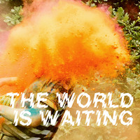 The Crookes - The World Is Waiting - Single (Explicit)