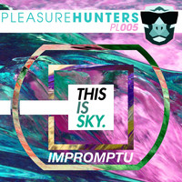 This Is Sky - Impromptu